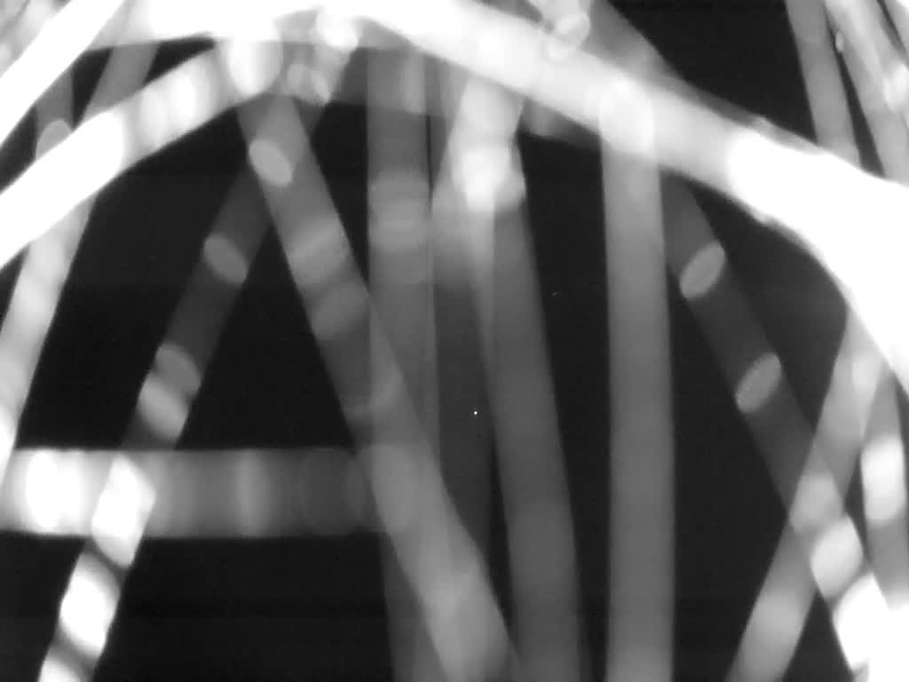 Photograph by the author